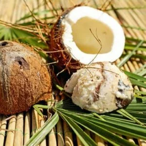coconut cabana