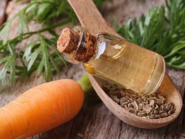 carrot seed oil Suds N Scents