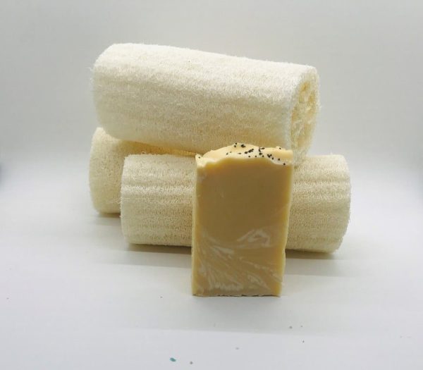 Lemongrass Poppyseed Soap - Soap Bars - Suds N Scents