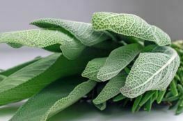 Sage - Essential Oil - Suds N Scents